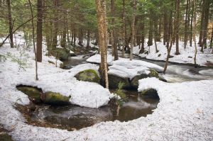 26  CK547--Bicknell-Brook-in-early-spring-with-snow.jpg
